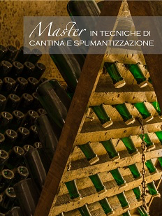 Master in tecniche di cantina e spumantizzazione