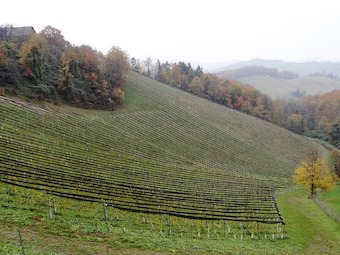 Vigneti | Austria