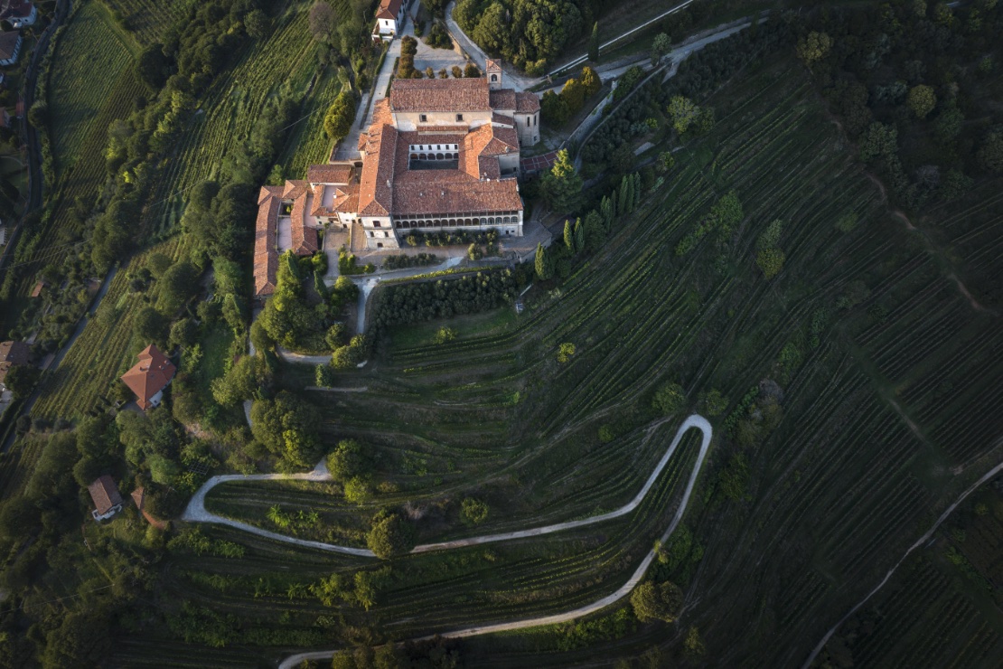 Vigneto Convento Santissima Annunicata