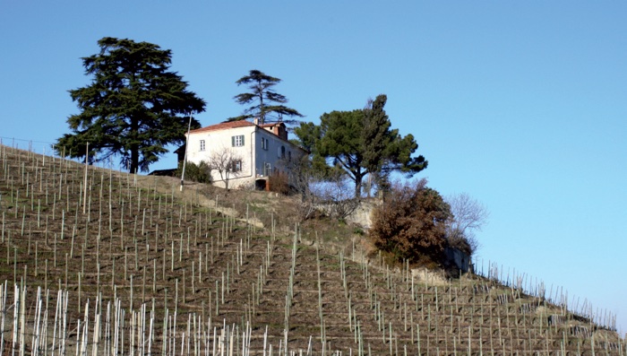 Barolo - Cannubi