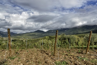 Campi Valerio - Molise - Pentro d'Isernia