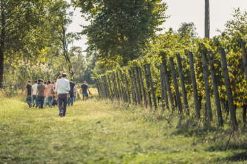 Festival Franciacorta in Cantina 2017