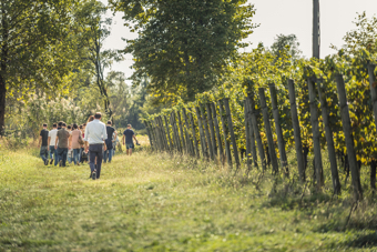 FranciacortaInCantina2016