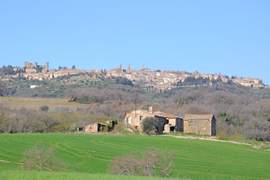 Montalcino