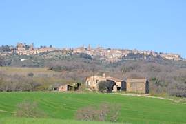 Montalcino