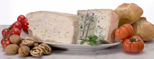 Gorgonzola DOP