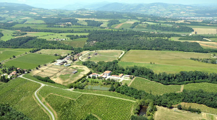Colli Piacentini - La Tosa