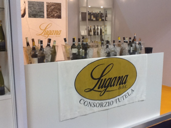 Consorzio Lugana