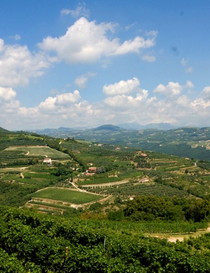 Valpolicella