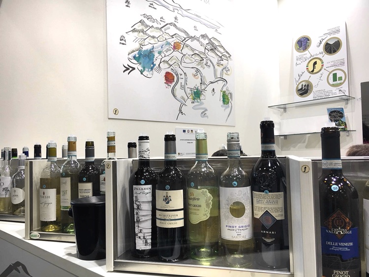 Pinot Grigio delle Venezie | Vinitaly 2018