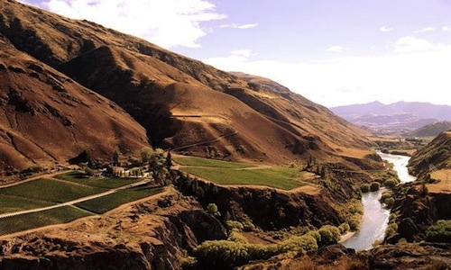 Pinot Noir Central Otago