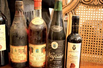 Vecchie Bottiglie di leone de Castris