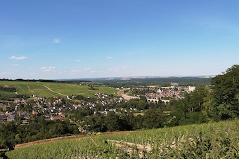 Sancerre