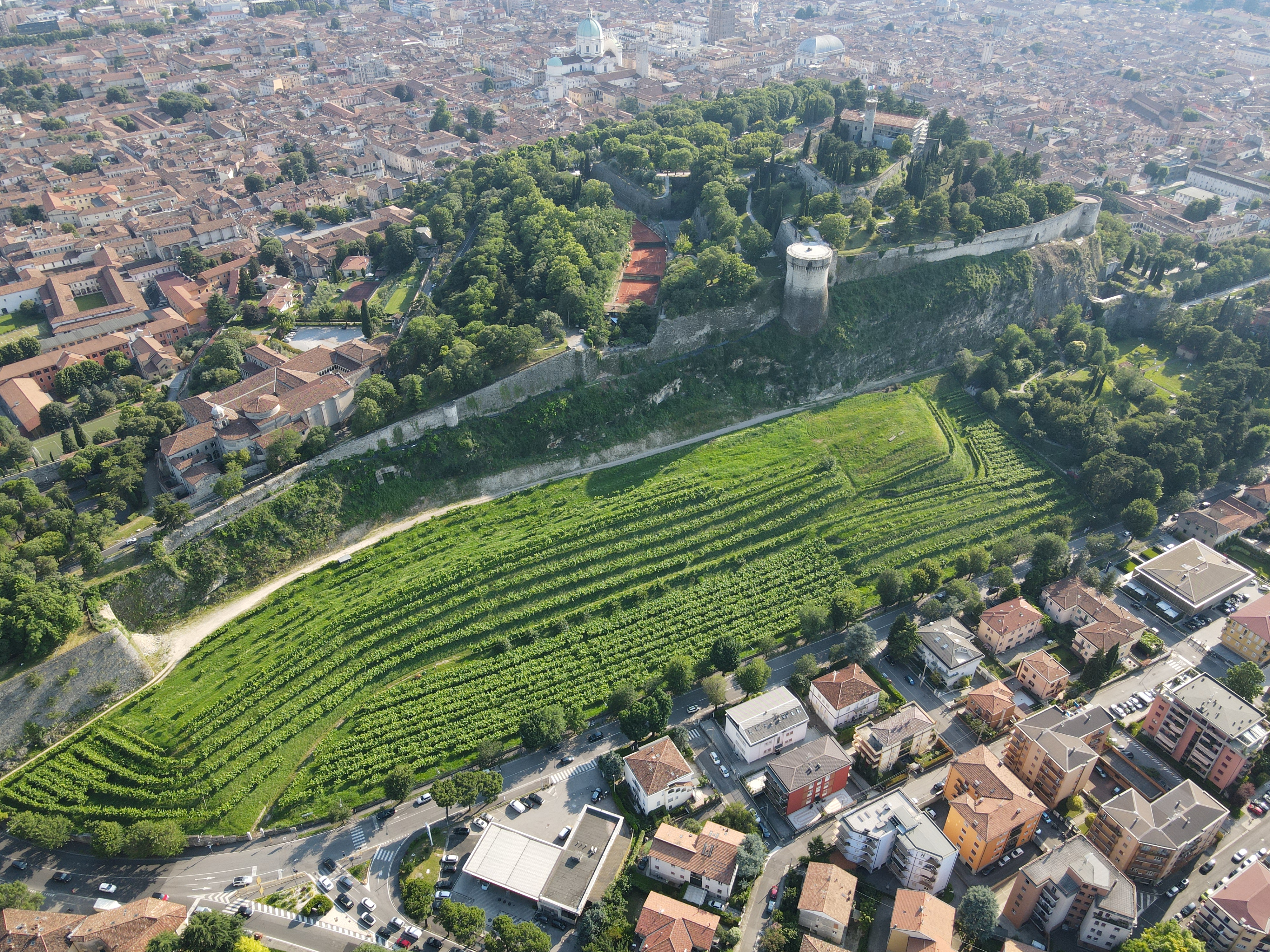 Vigneto Pusterla
