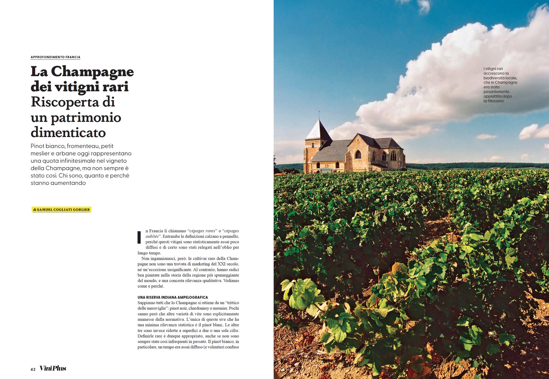 Clicca sull'immagine per scaricare il PDF dell'articolo