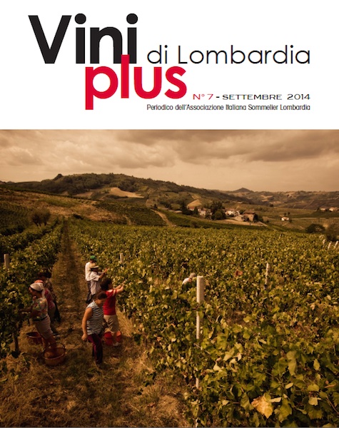 Viniplus di Lombardia - N°7 Settembre 2014