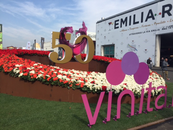 Vinitaly 2016. 50 anni