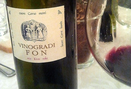 Marko Fon - Vinogradi