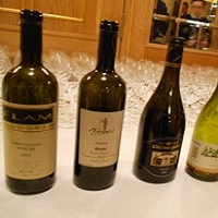 Ais Milano e i vini di Israele