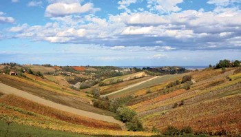 Vista Colline Sangiovese di Romagna